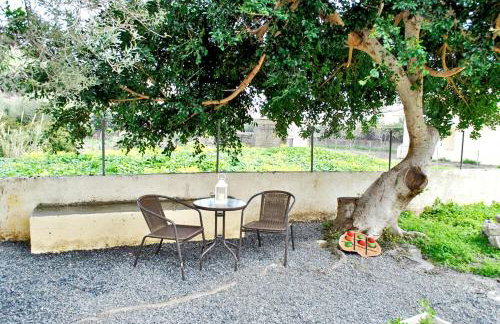 Chouzourakis Studios - Foto 22