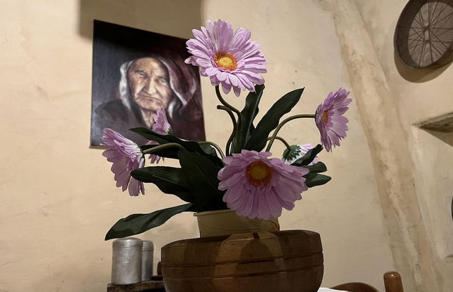 Preta Nera Intera in Giuliano di Roma - Foto 8