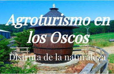 Apartamentos Casa de Riba - Foto 28