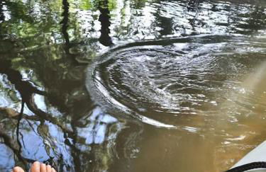 Ferienwohnung Schwörer bis 7 Personen - Foto 26