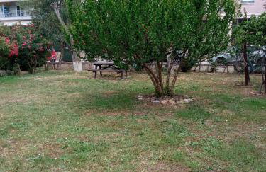 Sofia's Garden - Photo 28