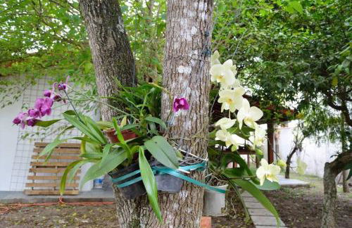 Casa perto a praia Guaecá 6 -10 pessoas - Foto 30