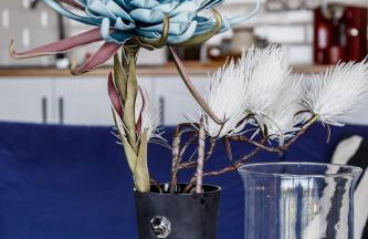 The Orange Garden - Foto 43