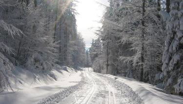 Ferienwohnungen Kricklsäge - Foto 3