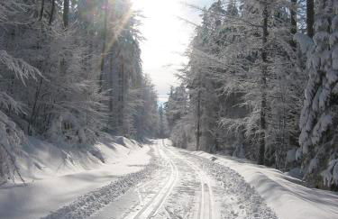 Ferienwohnungen Kricklsäge - Foto 3