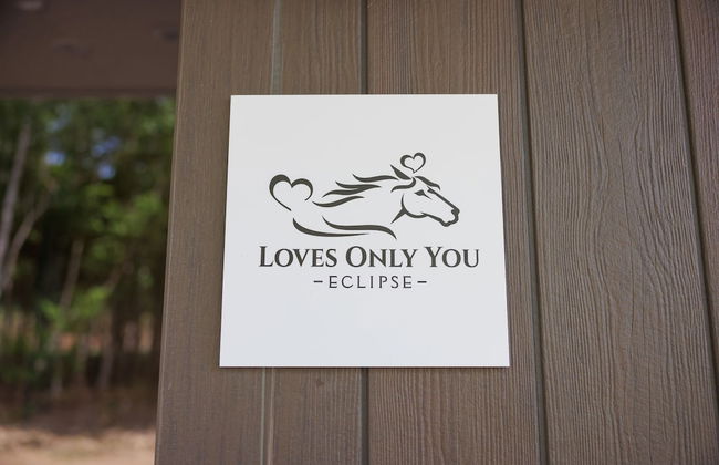 LOVES ONLY YOU【Ezo Fuji Foothills】 - Photo 76