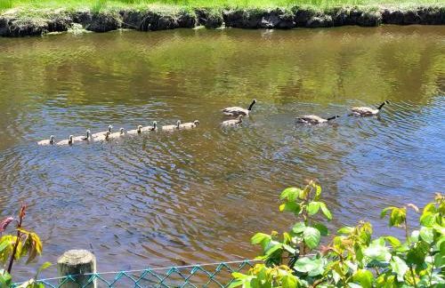 Cozy, Private Guest House #5 - Foto 3