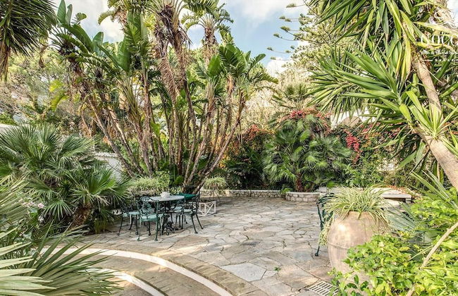 Green Coral - Foto 32