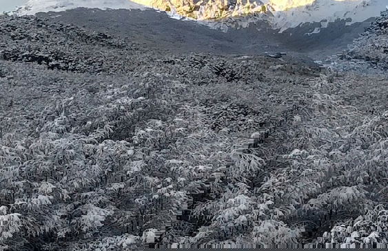 Cabañas Del Martial - Foto 79