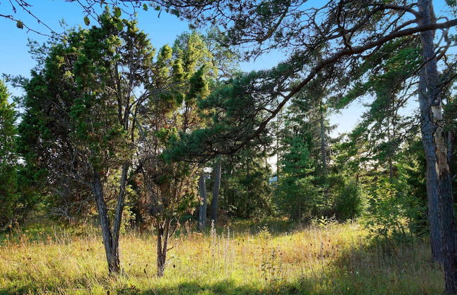 4 Person Holiday Home in Larbro-by Traum - Photo 18