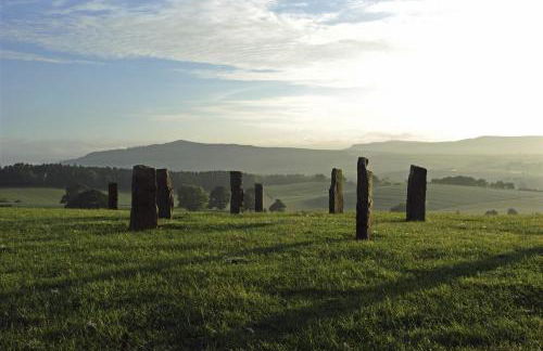 Yellison at Broughton Sanctuary - Photo 6