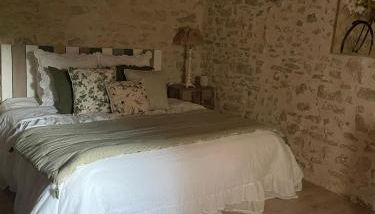 Domaine de la barbeirasse - Foto 5