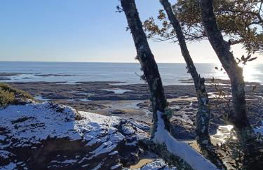 Loralistudios, Maison en bord de mer - Foto 10