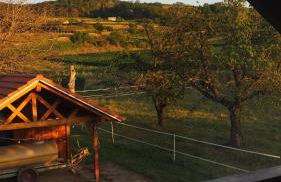 Gästehaus Haßler - Foto 19