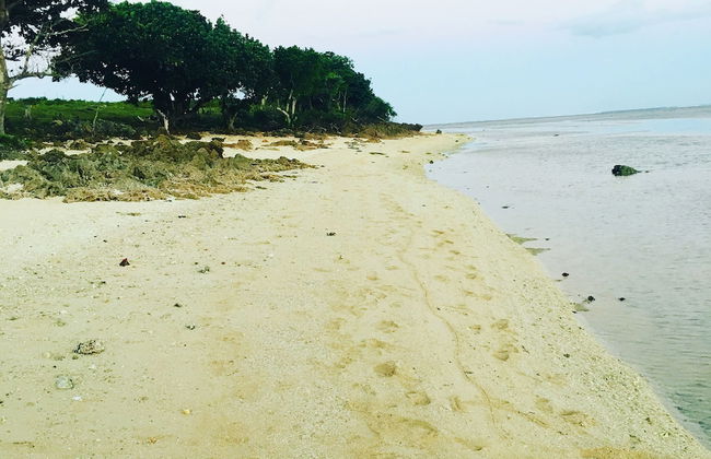 Yadua Bay Resort - Foto 34