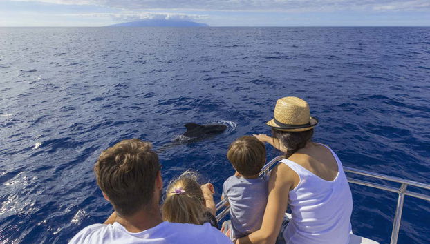 Giro in veliero con avvistamento di cetacei - Foto 2