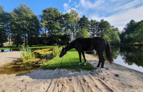 Agroturystyka BM Horse - Photo 2