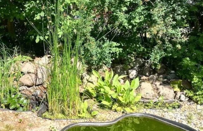 \"the Elf\" Comfortable Holiday Residence - Foto 36