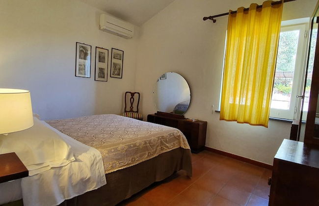 Fattoria Terranova - Foto 10