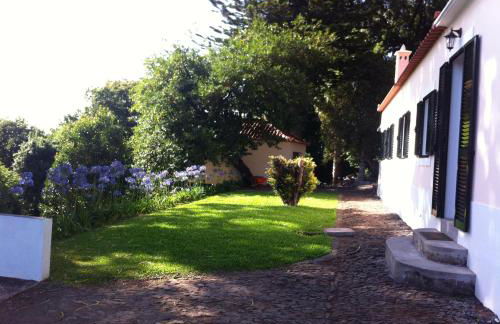 Quintinha de Palmyra - Foto 30