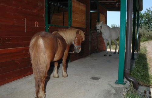 Hotel Agriturismo Santa Margherita - Foto 59