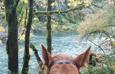 A Relaxing Getaway SolDuc 1 - Foto 38