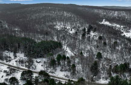 Modern Tiny Home Wraparound Deck - Foto 58