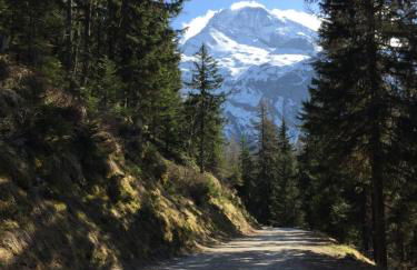 Le Rocher - Photo 31