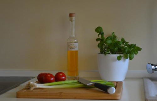 Naturidylle Vogtland - Erholsame Ferienwohnungen im Grünen - Foto 23