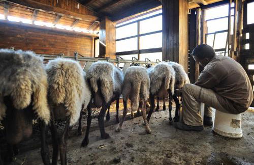 Agriturismo Borgo Mocale - Foto 25