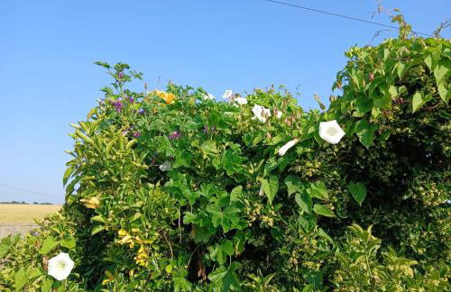 The Zen Den "With Lazy Spa" - Foto 15