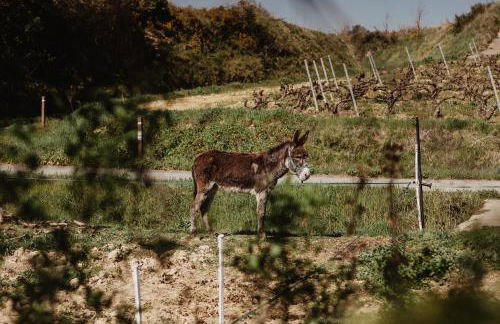 ALDAPA Casa Rural - Foto 64