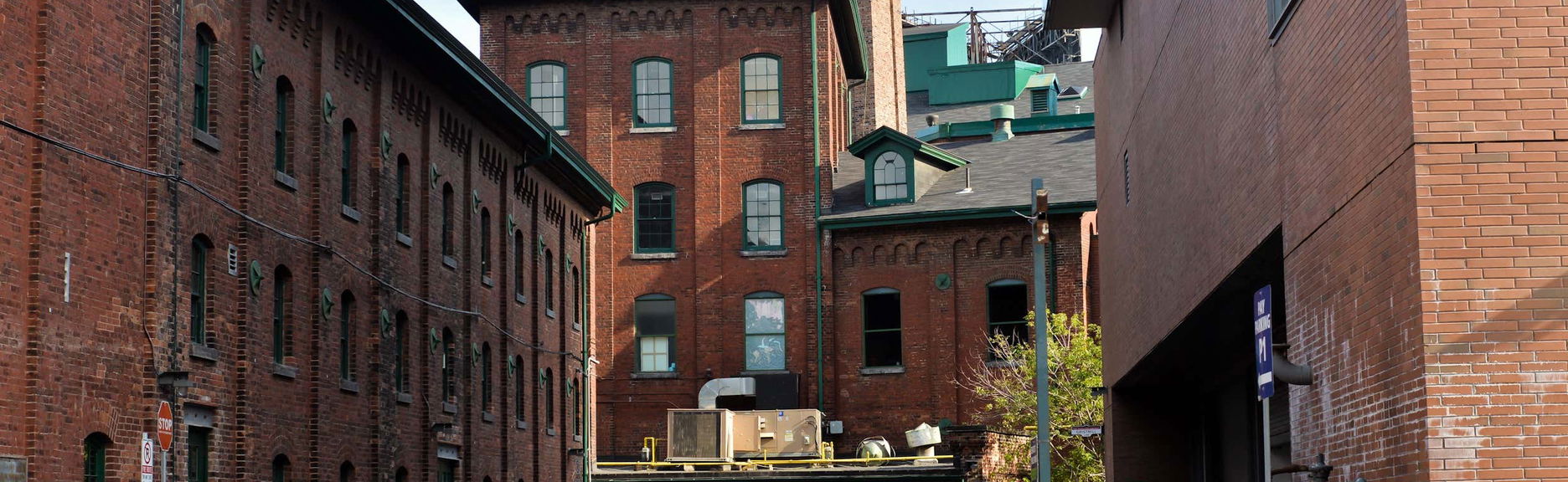 Visita guiada por Distillery District