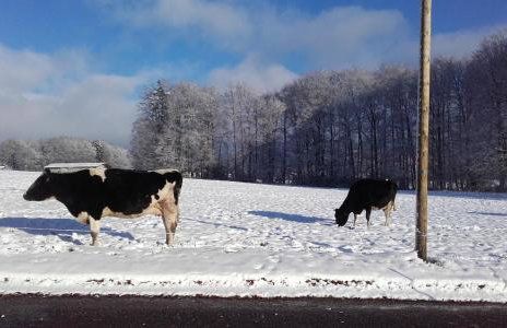 Gîte Les Hirondelles - Foto 70