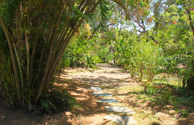 Hotel Tia Dora - Photo 61