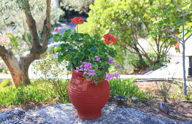 Angelina Studios - Foto 20