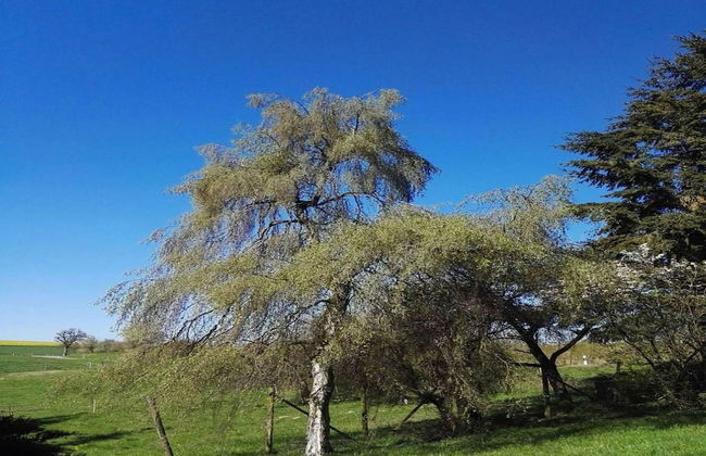 Holiday Home in Filz near River - Foto 40