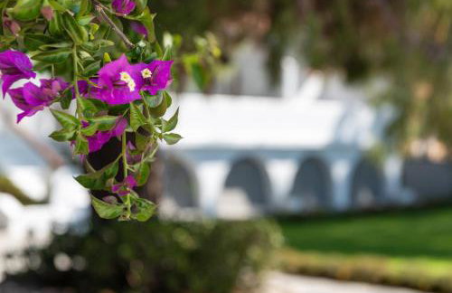 Casa Montzo boutique hotel - Foto 19