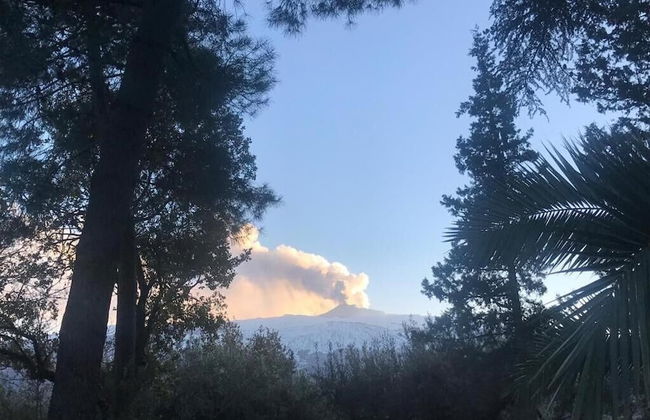 Sole di Sicilia - Foto 32