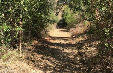 Studio Views Apartment, Cortijo Fruitful Hills - Photo 46