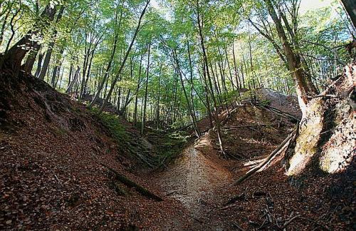 Całoroczny Domek Hampton Lubniewice, jezioro, jacuzzi - Foto 54