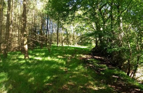 Cleeves Cabins Arran Luxury Lodge with hot tub - Foto 23