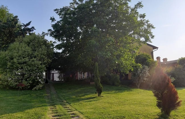 Agriturismo Trebis - Photo 42