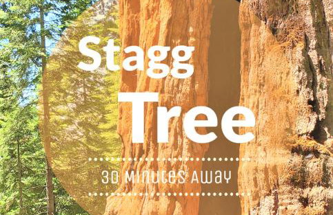 Redwood Retreat, Mountains, Adventure and Nature - Foto 50