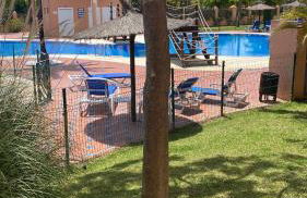 Stunning 3BR in Hacienda Del Sol Beach & Pool - Photo 3