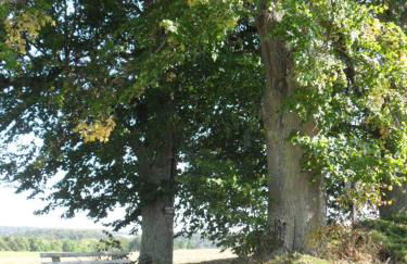 Ferienwohnung Elisabeth - Foto 27