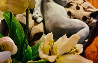 Ferienhaus Jägerhaus Oppach Privathaus - Foto 29