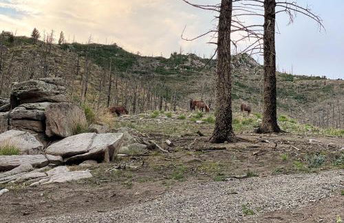 14 Mi to Ski Apache Mountaintop Cabin with View - Foto 23