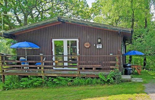 Owls About - Uk6756 - Photo 9