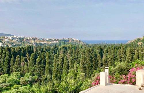 Villa Andros Époque - Foto 26